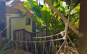 T3 De Charme Avec Rooftop Vue Mer, Le Cactus